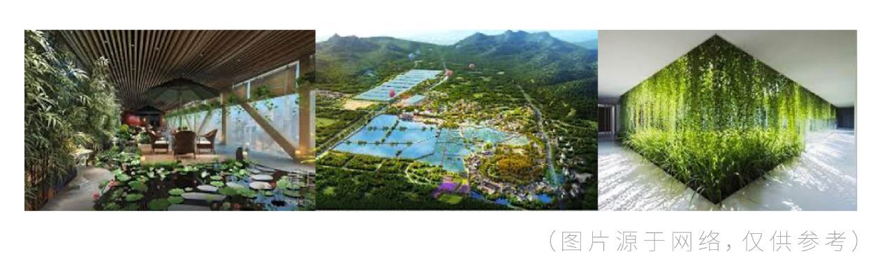 2138CC太阳集团
