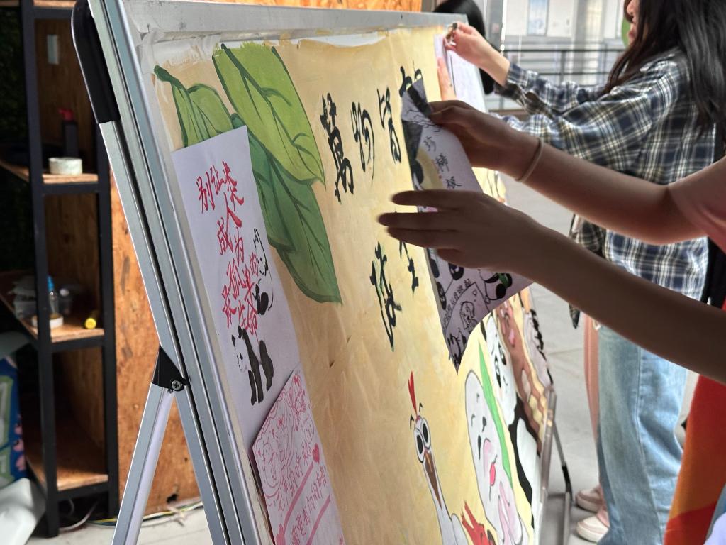 2138CC太阳集团